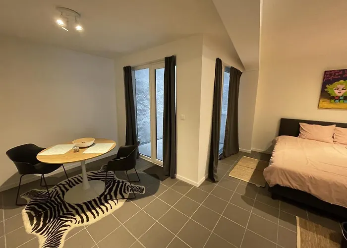 Just For 2 公寓 奥斯滕德